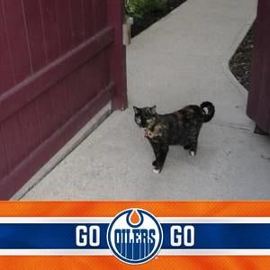 Meet your Posher, Verna